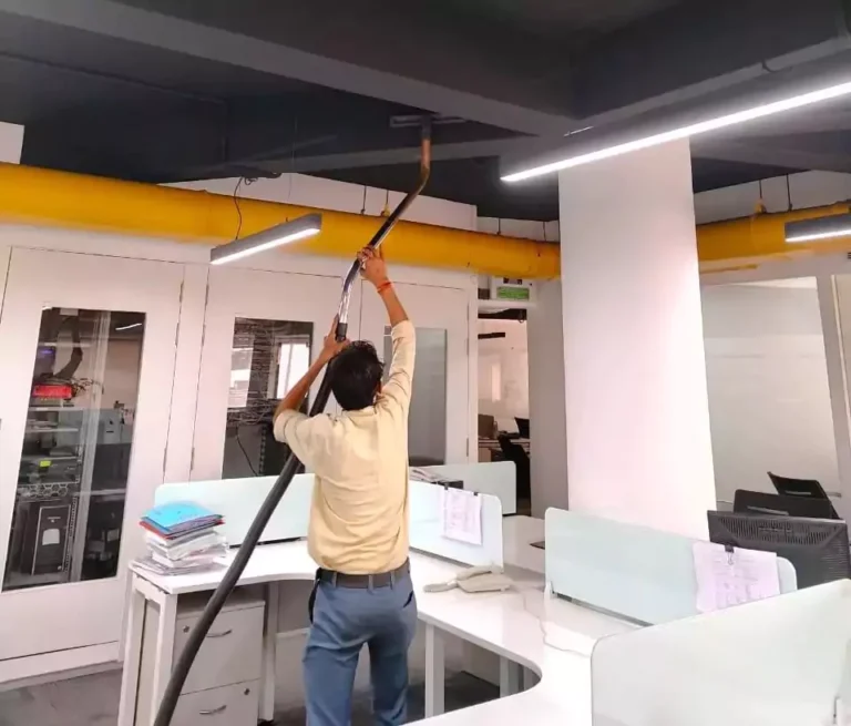 Professional Housekeeping Services